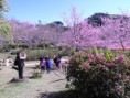 /album/campos-do-jord%c3%a3o-/p8040026-jpg/