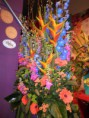 /album/galeria/p9070130-jpg/